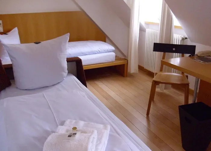 Robert-schuman-haus Отель 2*